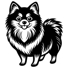 Pomeranian dog Silhouette on white background on Vector and illustration