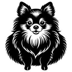 Pomeranian dog Silhouette on white background on Vector and illustration