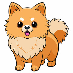 Pomeranian dog on white background