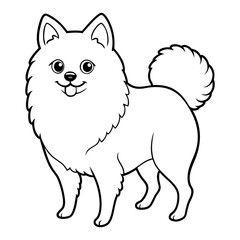Pomeranian dog on white background in Colouring  Book