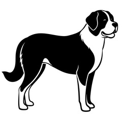 Silhouette Saint Bernard Dog Vector and illustration on white Background