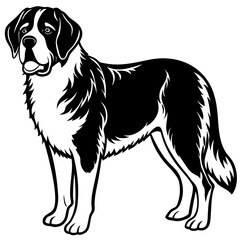 Silhouette Saint Bernard Dog Vector and illustration on white Background