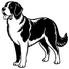 Silhouette Saint Bernard Dog Vector and illustration on white Background