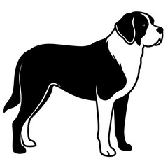 Silhouette Saint Bernard Dog Vector and illustration on white Background