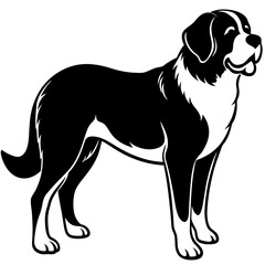 Silhouette Saint Bernard Dog Vector and illustration on white Background