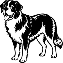 Silhouette Saint Bernard Dog Vector and illustration on white Background