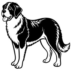 Silhouette Saint Bernard Dog Vector and illustration on white Background
