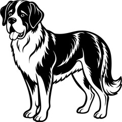 Silhouette Saint Bernard Dog Vector and illustration on white Background