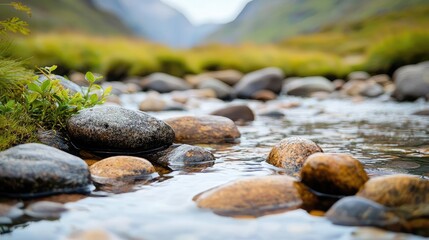 Fototapeta premium Wilderness valley concept. A serene river scene featuring smooth stones and calm water in a natural setting.