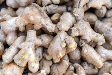 Fresh, Organic Ginger Root Piles for Culinary and Health Uses