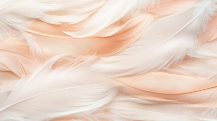 Fototapeta premium Exquisite closeup, unveiling the intricate beauty and delicate pattern of a feather