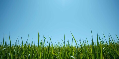 Fototapeta premium Peaceful scenery with rolling green hills, clear skies, and a calming natural atmosphere