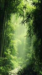 Fototapeta premium A green forest with tall bamboo trees and fog