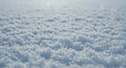 Obraz premium Close-up of sparkling snow texture outdoors.