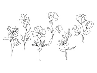 Vector flowers art