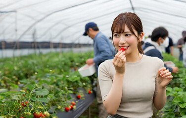 いちご狩りでいちごを食べる若い女性