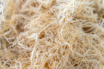 Intricate Detail of Natural Fiber Texture for Rustic and Organic Designs
