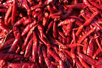 Vibrant Red Chili Peppers Piled High for Culinary Delights