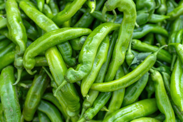 Fresh Green Peppers: Vibrant and Flavorful Produce for Culinary Delights