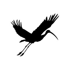 Stork bird silhouette