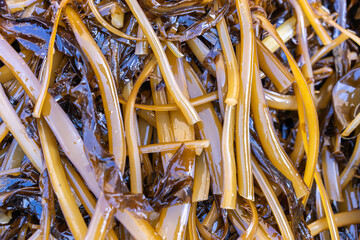 Vibrant Close-Up of Fresh Seaweed: Nature's Marine Delicacy