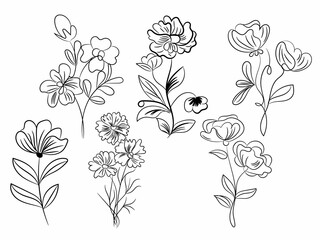 Vector flowers art