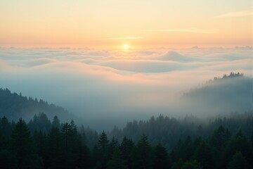 Fototapeta premium Misty Mountain Sunrise Scenic Forest Landscape Photography