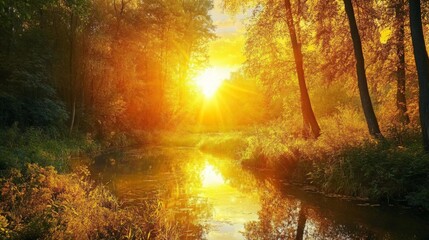 Obraz premium Serene Forest River Reflecting Golden Sunset in Tranquil Nature Scene