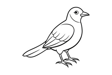 Obraz premium bird line art vector illustration on white background