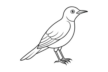 bird line art vector illustration on white background