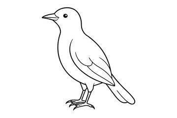 bird line art vector illustration on white background