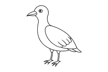 bird line art vector illustration on white background