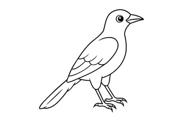 bird line art vector illustration on white background