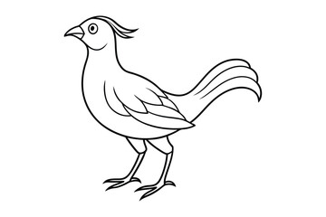 bird line art vector illustration on white background