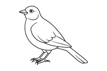 bird line art vector illustration on white background