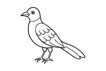 bird line art vector illustration on white background