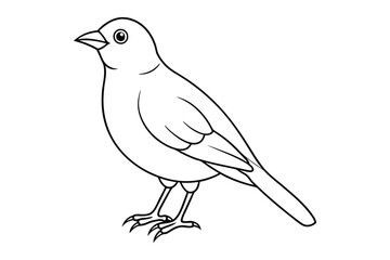bird line art vector illustration on white background