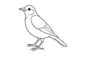 Obraz premium bird line art vector illustration on white background