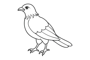 bird line art vector illustration on white background