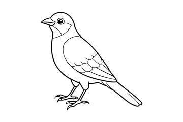 bird line art vector illustration on white background