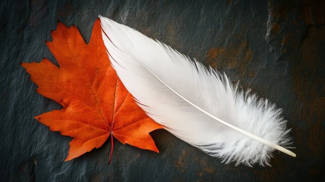 Unity in Remembrance: White Feather and Orange Maple Leaf - National Day for Truth and Reconciliation