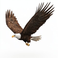 Obraz premium 3D Eagle Isolated and White Background