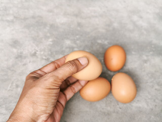 Chicken egg in hand