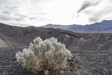 Ubehebe Craters / maar and tuff ring, volcanic. Death Valley National Park, California. Mojave...