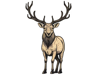deer vector