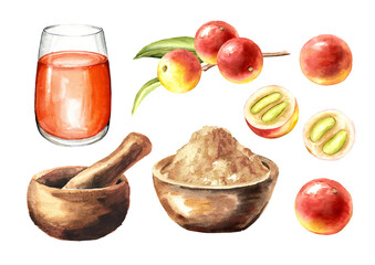 Camu-camu set, Myrciaria dubia. Superfood. Watercolor hand drawn illustration isolated on white background