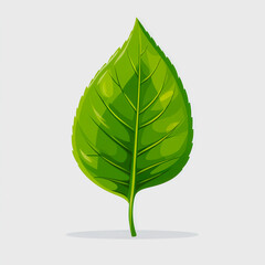 Green leaf flat icon on white background nature symbol eco-friendly organic design illustration vector art