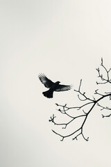 Fototapeta premium Silhouette of a Bird in Flight with Tree Branches