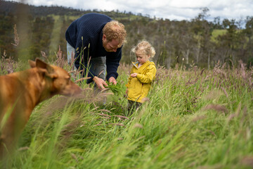 farmer doing a feed budget on a regenerative organic farm, taking grass samples and looking at...