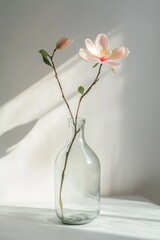 Pink magnolia blossom in a clear glass vase, sunlight.